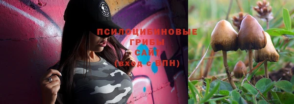 не бодяженный Кулебаки