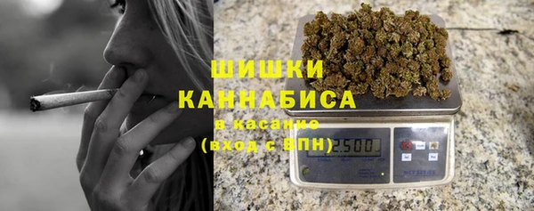 шишки Ростов