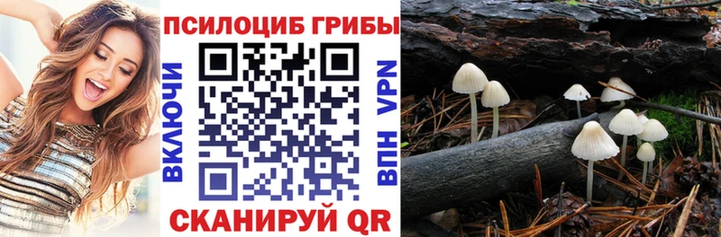 Галлюциногенные грибы мицелий  кракен как войти  Куртамыш 